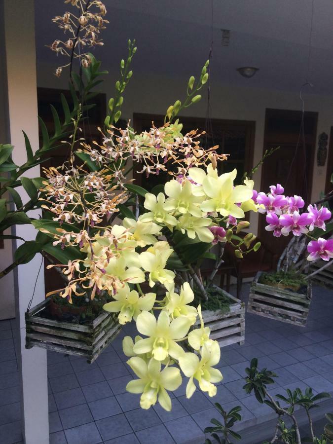 Hotel Peti Mas Yogyakarta